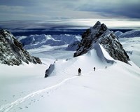 Upper Fox Glacier Westland NP New Zealand Fine Art Print
