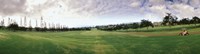 Golf Course Maui HI USA