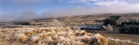 Barn in a field, Morven Hills Station, Otago, New Zealand Fine Art Print