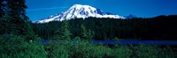 Mt Rainier Mt Rainier National Park WA USA Fine Art Print