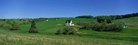 Summer Fields And Houses, Prince Edward Island, Canada by Panoramic Images - 27" x 9"