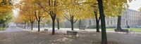 Park Geneve, Switzerland Fine Art Print