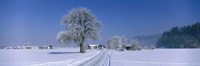 Winter Scenic, Austria by Panoramic Images - 27" x 9"