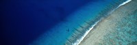 Aerial View Of Beach, Teti'aroa Island, Polynesia by Panoramic Images - 27" x 9"