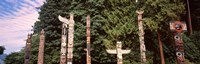Totem poles in a park, Stanley Park, Vancouver, British Columbia, Canada Fine Art Print