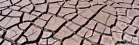 Close-up of cracked mud, South Dakota, USA Fine Art Print