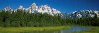 Trees along a river, Near Schwabachers Landing, Grand Teton National Park, Wyoming by Panoramic Images - 27" x 9"