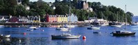 Boats docked at a harbor, Tobermory, Isle of Mull, Scotland Fine Art Print