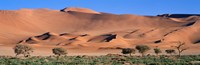 Africa, Namibia, Namib Desert Fine Art Print