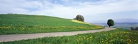 Road Fields Aargau Switzerland Fine Art Print