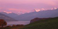 Switzerland, Bernese Alps, Lake Thun Fine Art Print