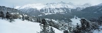 Winter, St Moritz, Switzerland Fine Art Print