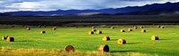 Haystacks, Field, Jackson County, Colorado, USA Fine Art Print