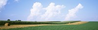 Hay bales in a field, Jo Daviess county, Illinois, USA Fine Art Print