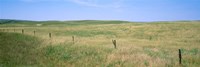 Grass on a field, Cherry County, Nebraska, USA Framed Print