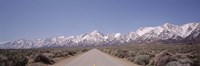 USA, California, Sierra Nevada, Bushes on both sides of a road Framed Print