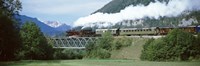 Train on a bridge, Bohinjska Bistrica, Slovenia Fine Art Print