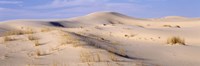 Sand dunes on an arid landscape, Monahans Sandhills State Park, Texas, USA Fine Art Print