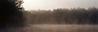 Morning Mist Adirondack State Park Old Forge NY USA Fine Art Print