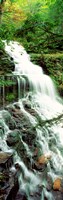 Ganoga Falls Ricketts Glenn State Park PA Fine Art Print