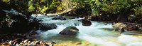 Mountain Stream CO USA Fine Art Print