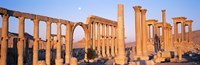 Ruins, Palmyra, Syria Fine Art Print