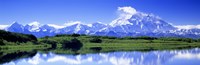 Reflection Pond, Mount Mckinley, Denali National Park, Alaska, USA Fine Art Print