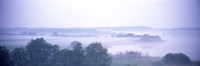 Foggy Landscape Northern Germany Fine Art Print