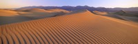 Sand Dunes in Death Valley National Park, California Fine Art Print