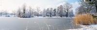 Snow covered trees near a lake, Lake Schubelweiher Kusnacht, Zurich, Switzerland Fine Art Print