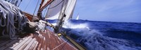 Yacht Race Fine Art Print