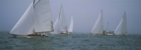 Sailboats at regatta, Newport, Rhode Island, USA by Panoramic Images - 27" x 9"