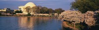 Tidal Basin Washington DC Fine Art Print