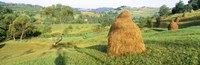 Farm, Transylvania, Romania Fine Art Print