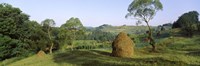 Haystack at the hillside, Transylvania, Romania Fine Art Print