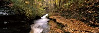 Buttermilk Creek, Ithaca, New York State, USA Fine Art Print