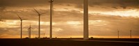 Wind turbines in a field, Amarillo, Texas, USA Fine Art Print