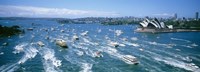 Pleasure Boats, Sydney Harbor, Australia Fine Art Print