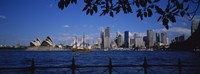 Skyscrapers On The Waterfront, Sydney Opera House, Sydney, New South Wales, United Kingdom, Australia Fine Art Print