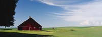 Barn in a wheat field, Washington State (horizontal) Fine Art Print