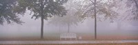Trees and Bench in Fog Schleissheim Germany Fine Art Print