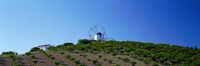 Windmill Obidos Portugal Fine Art Print