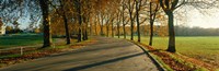 Road at Chateau Chambord France Fine Art Print