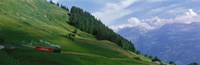Steam Train near Brienz Switzerland by Panoramic Images - 27" x 9"