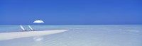 Beach Scene, Digufinolhu, Maldives Fine Art Print