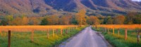Road At Sundown, Cades Cove, Great Smoky Mountains National Park, Tennessee, USA Fine Art Print