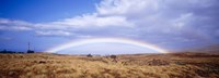 Field, Rainbow, Hawaii, USA Fine Art Print