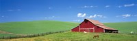 Red Barn With Horses WA by Panoramic Images - 27" x 9"
