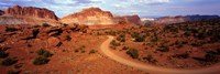 Desert Road, Utah, USA Fine Art Print