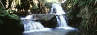 Waterfalls Hilo HI Fine Art Print